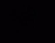 Men's Black Performance Tee